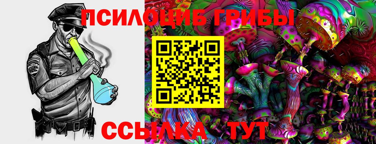 Псилоцибиновые грибы Psilocybe Волжский