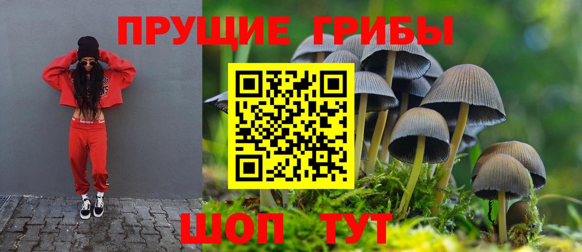 Волжский  Галлюциногенные грибы ЛСД  Вход с VPN 